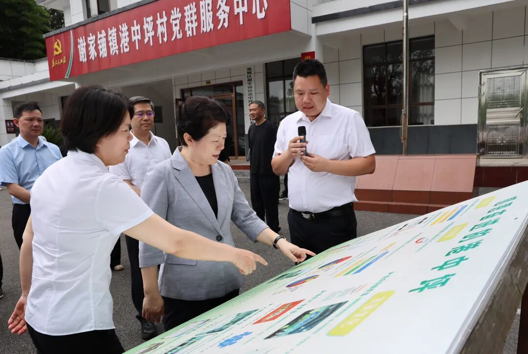 吴桂英在常德市开展执法检查