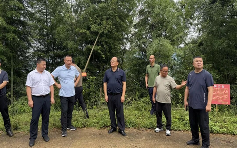 新化县：人大监督赋能产业发展 铺就共富坦途