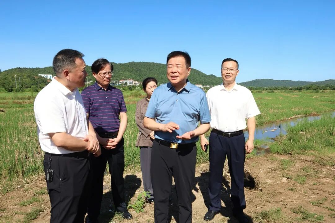 陈飞赴岳阳县联系走访省人大代表时强调：补齐灌溉水系短板  加快高标准农田建设  夯实粮食安全根基