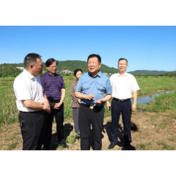 陈飞赴岳阳县联系走访省人大代表时强调:补齐灌溉水系短板 加快高标准农田建设 夯实粮食安全根基