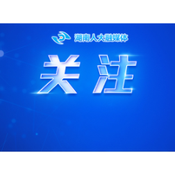 丁仲礼率队来湘开展职业教育法执法检查