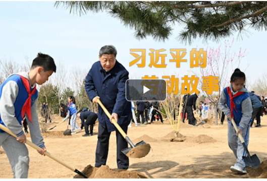 追光的你丨習(xí)近平的勞動(dòng)故事