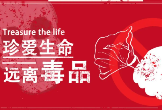 “课本封面”式禁毒海报来啦，请查收~
