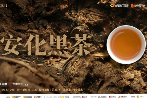 一片茶叶的千年传承 | 安化黑茶：在沉淀的时光里诉说传奇