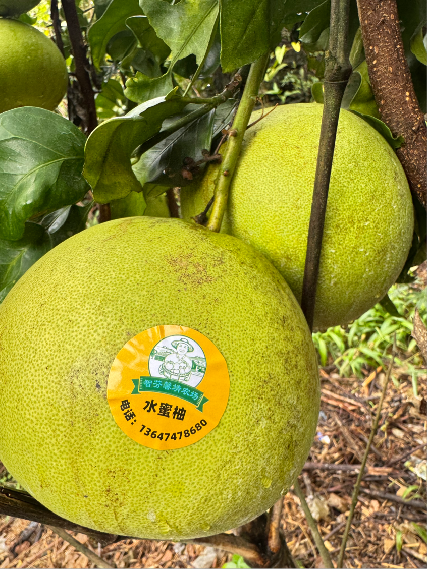 图片2.png 图片2.png