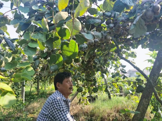 蒿子港1_副本.jpg 蒿子港1_副本.jpg