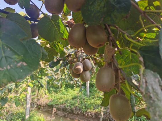 蒿子港2_副本.jpg 蒿子港2_副本.jpg