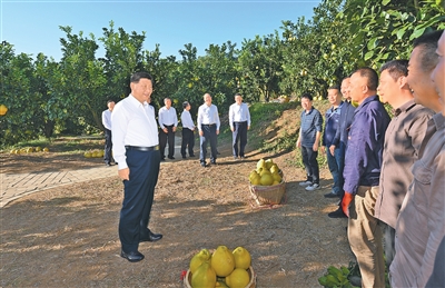 c7d6e907-c818-4a23-a064-2d297545d076.jpg c7d6e907-c818-4a23-a064-2d297545d076.jpg