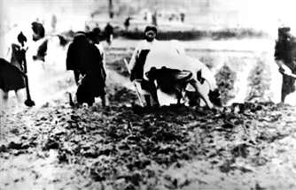 20260309_012_37762.jpg 20260309_012_37762.jpg