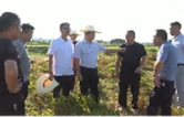 2025年7月11日沅江新闻联播