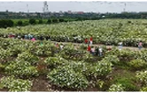 2026年6月11日沅江新闻联播