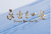 雷佳與意大利男高音共同演唱  冬奧主題單曲《永遠在一起》MV