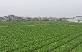 2025年10月22日沅江新闻联播