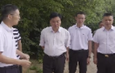 2025年5月15日沅江新闻联播