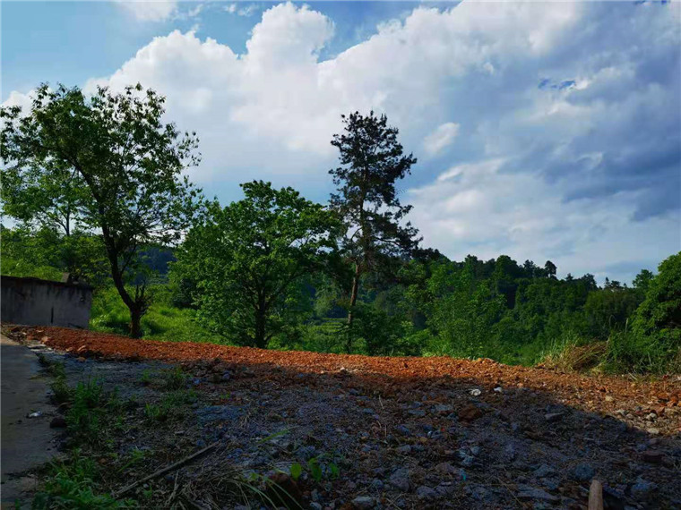 微信图片_20210520172514.jpg 微信图片_20210520172514.jpg