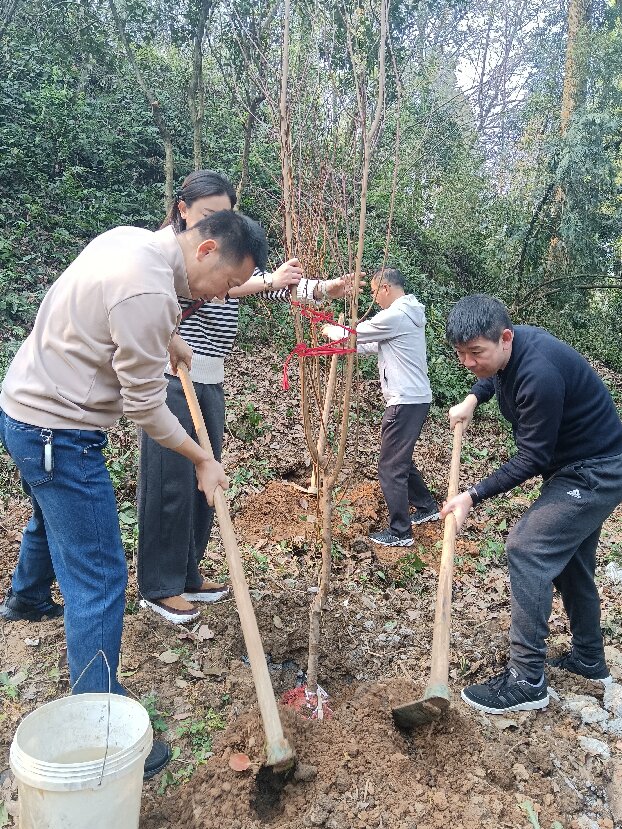 微信图片_2025031217492201.jpg