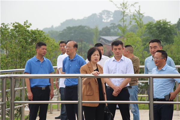 11a9bb56dde147fccb935a92db26f0f_副本1.jpg