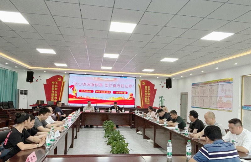 十五支部年中总结2_副本.jpg