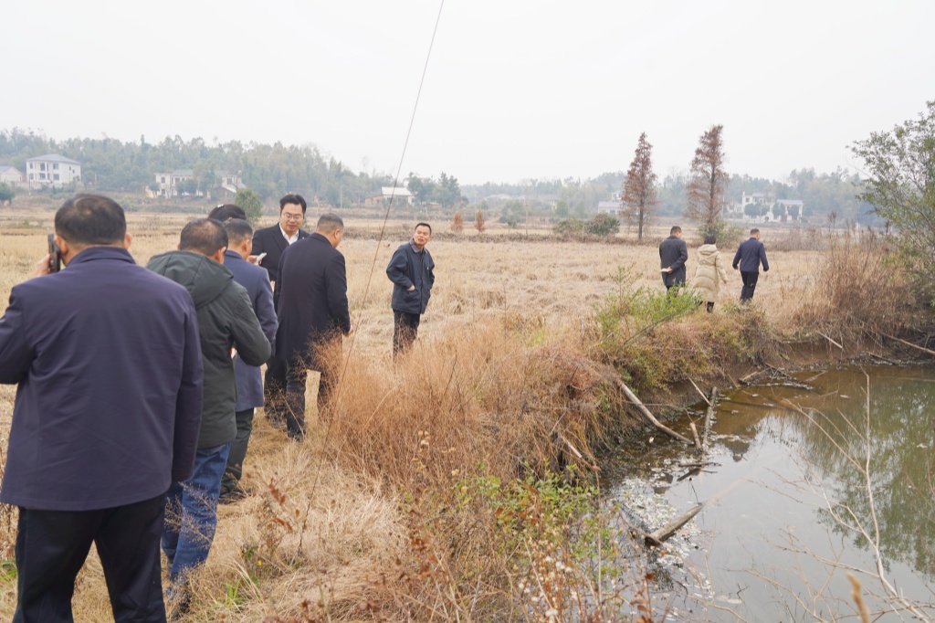 长沙市政协民建界别委员赴槎梓桥村开展慰问活动