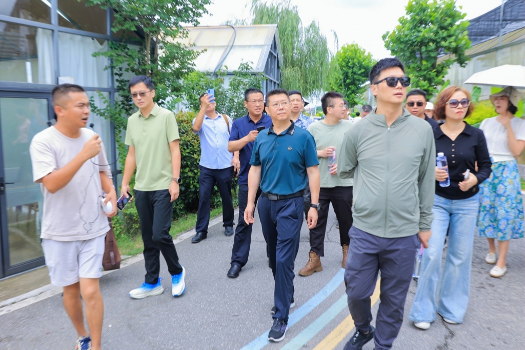 IMGL7043-opq4708564527_副本.jpg IMGL7043-opq4708564527_副本.jpg