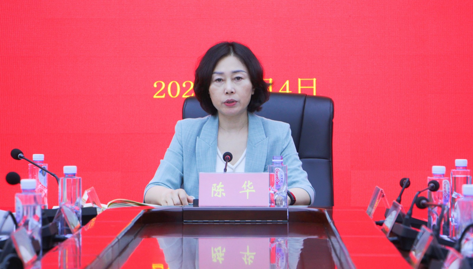 陈华出席会议并作学习辅导报告