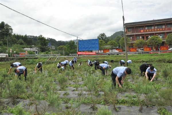 民警在基地除草.jpg 民警在基地除草.jpg