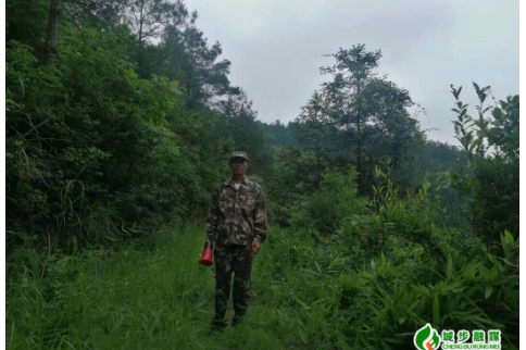 兰蓉乡：林下经济引领致富路