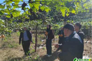 白毛坪镇： 政策赋能特色 产业多点花开