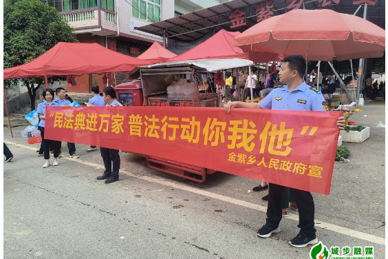 金紫乡：联合执法护民生 “典”亮乡村法治路