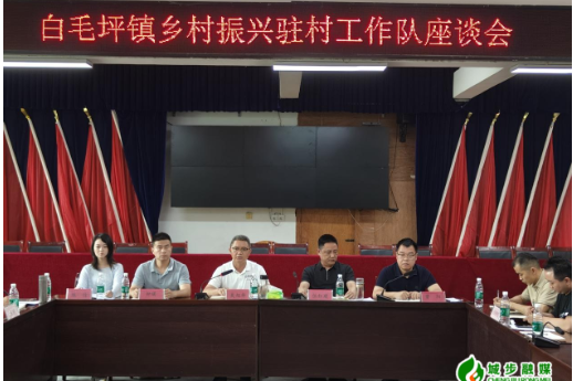 白毛坪镇召开乡村振兴驻村工作队座谈会