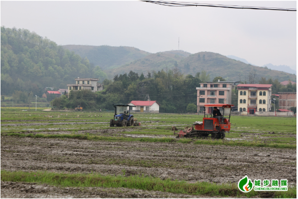 西岩镇：春耕正当时 不负好时节