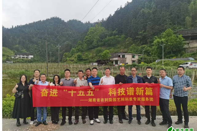 开福区携手农技专家助力汀坪乡特色产业提质增效