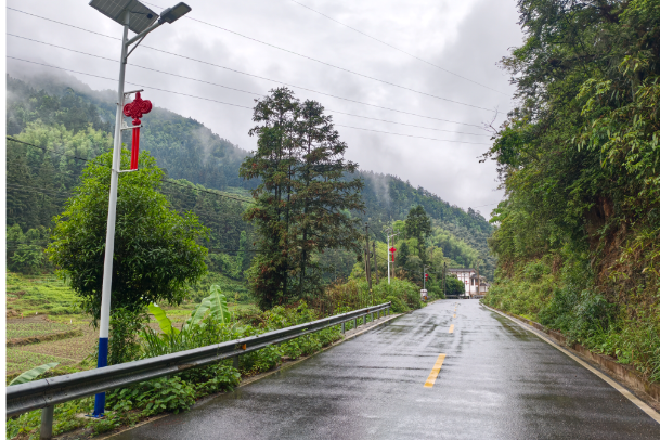 白毛坪镇：路灯亮化暖民心 民生工程促振兴