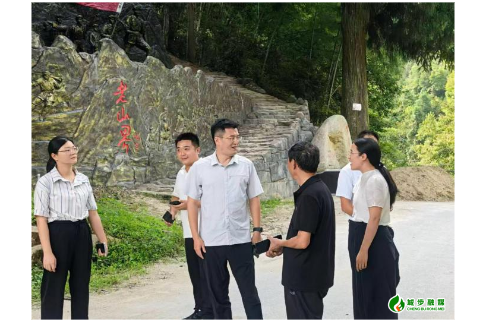 周琳赴五团镇茶园村调研：深挖红色底蕴 赋能乡村振兴