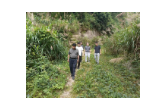 压实安全责任 筑牢林区防线——张福生带队赴小金洞分场检查安全生产工作 