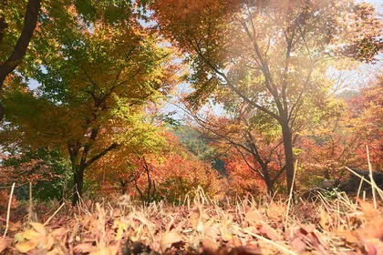 大美蓝山：蓝山谷