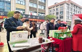 蓝山：年货集市促消费 惠民乐购年味浓