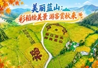 美丽蓝山：彩稻绘美景 游客赏秋来