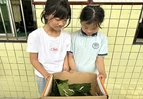 龙溪学校：养桑蚕悟生命，践劳动启心智