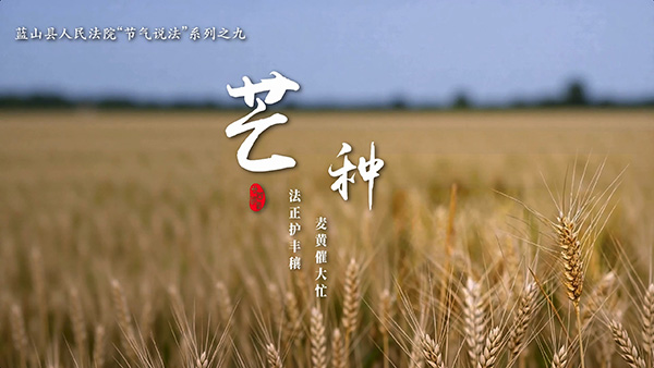 芒种普法正当时 节气说法润心田1.jpg