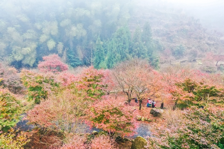 近年来，蓝山县坪源村依托优良的生态资源优势，大力发展乡村生态观光旅游。