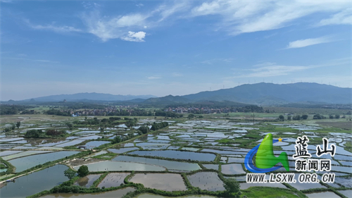 美丽蓝山：初夏时节旭日暖 水田如镜景如画