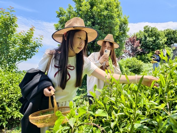 微信图片_2026-05-11_112050_256_副本.jpg 微信图片_2026-05-11_112050_256_副本.jpg