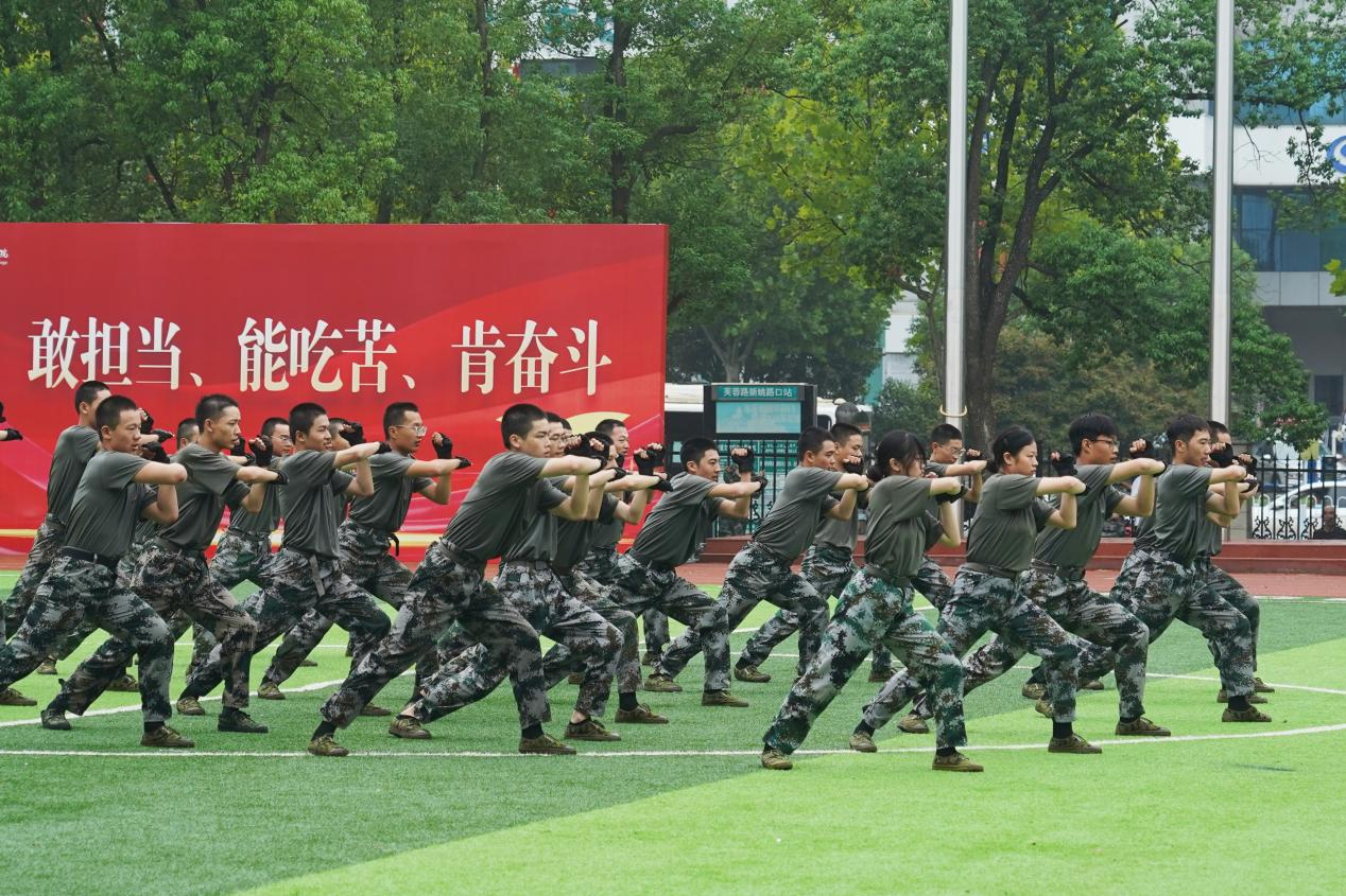 图片5.png