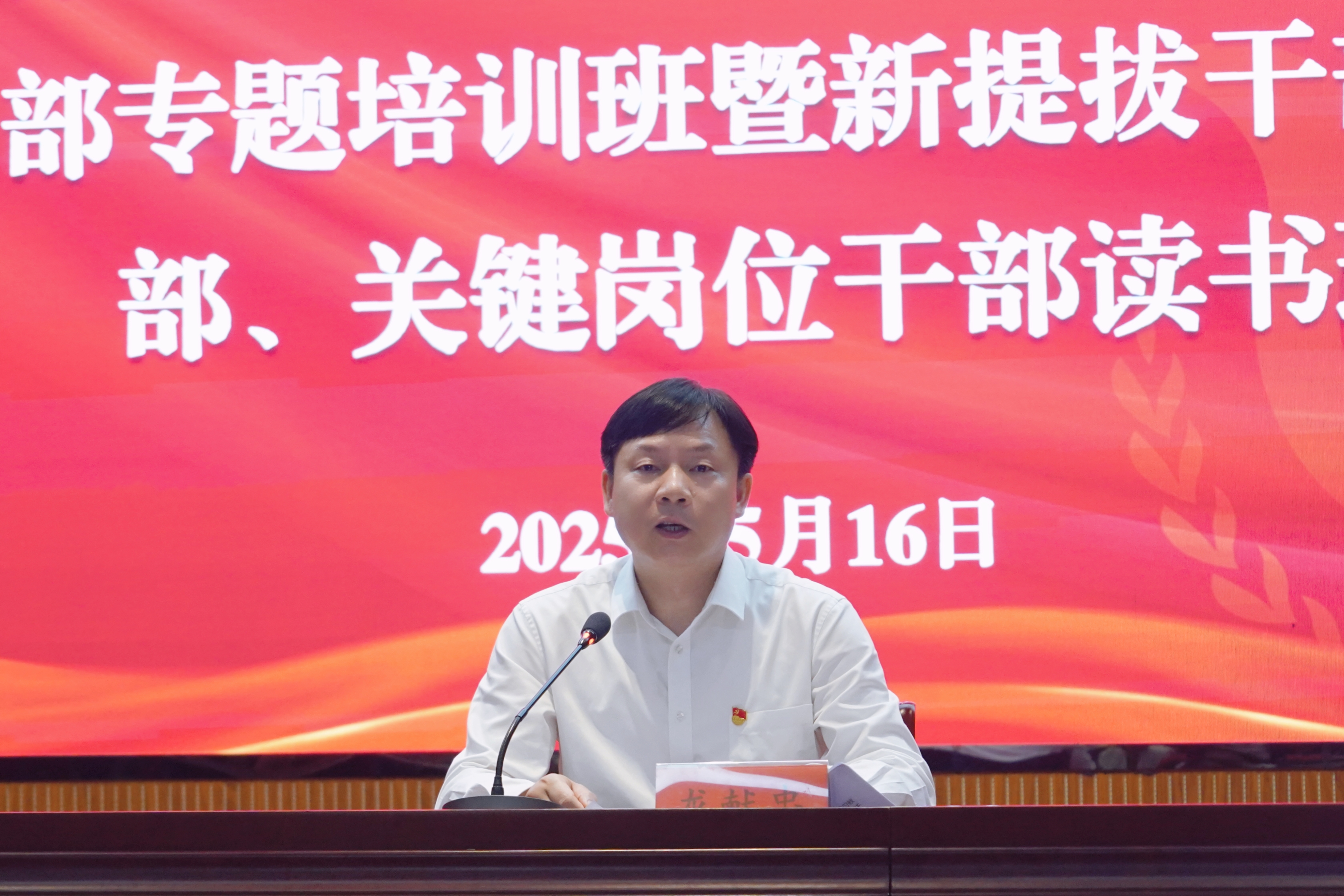 龙定.jpg