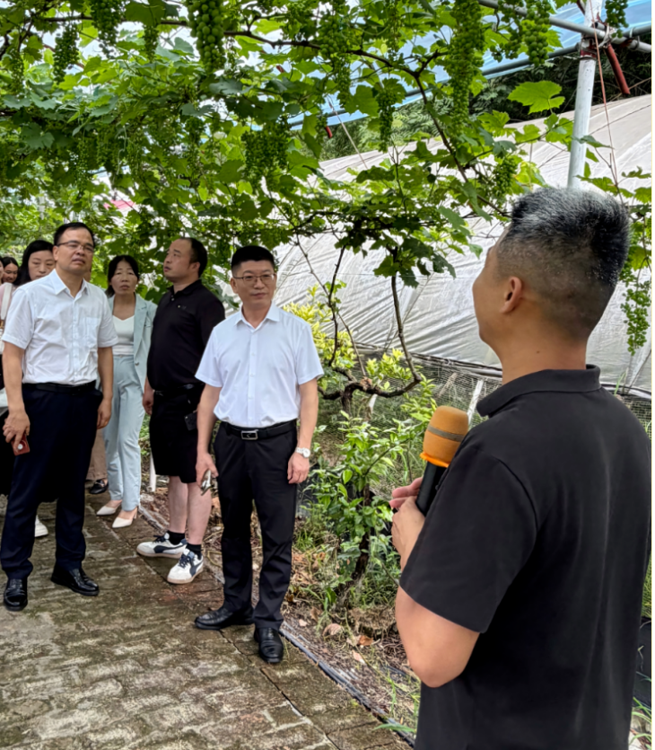微信图片_20260601081226.png