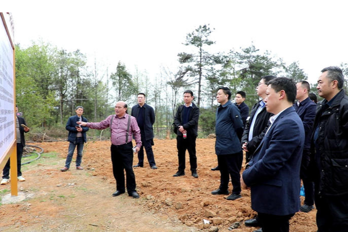 省林业局二级巡视员欧阳叙回一行到邵阳县调研油茶产业