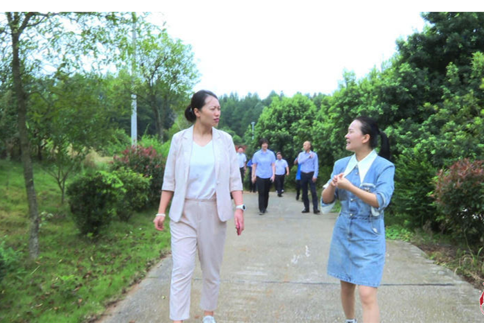 团中央中创会来邵阳县调研