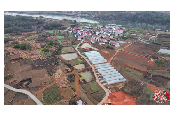 九公桥镇金盆村：发展蔬菜产业 助力乡村振兴