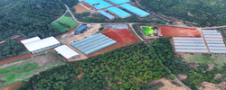 邵阳县：智能化育秧 助力春耕跑出加速度